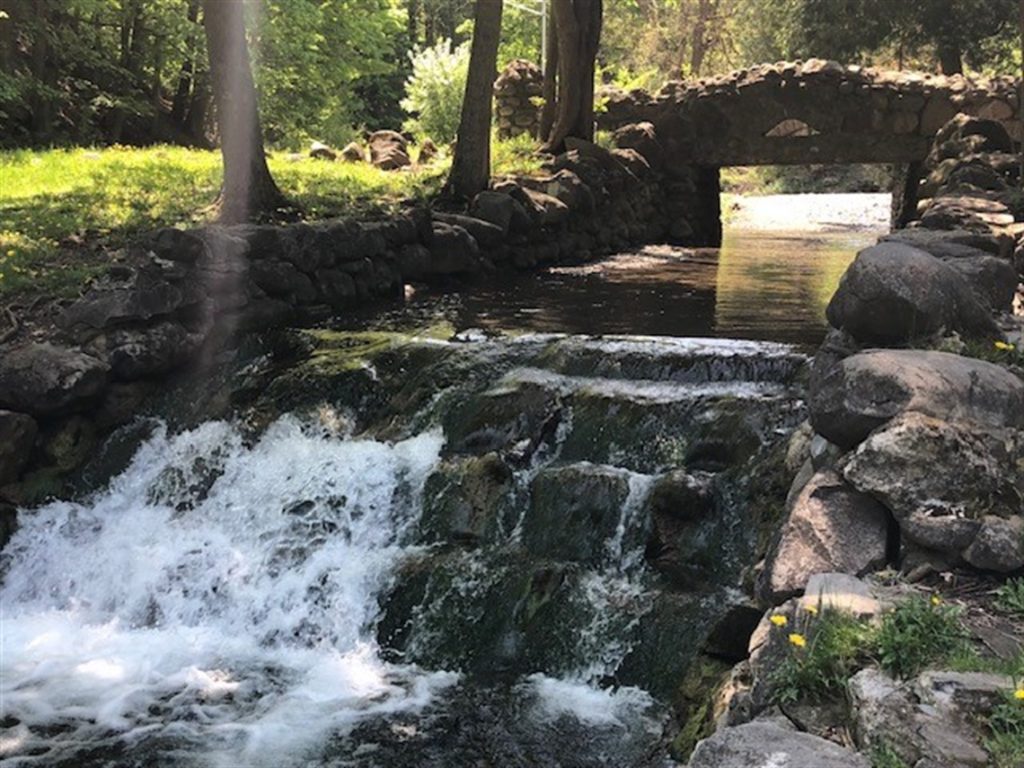 Elmwood Park Waterfall and Bridge in Syracuse NY